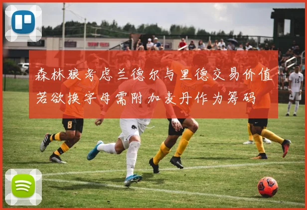森林狼考虑兰德尔与里德交易价值若欲换字母需附加麦丹作为筹码