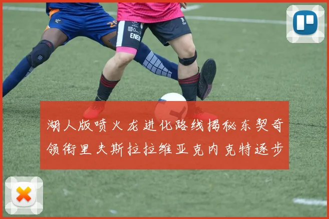 湖人版喷火龙进化路线揭秘东契奇领衔里夫斯拉拉维亚克内克特逐步崛起