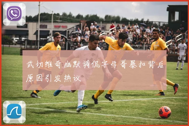 武切维奇幽默调侃字母哥暴扣背后原因引发热议