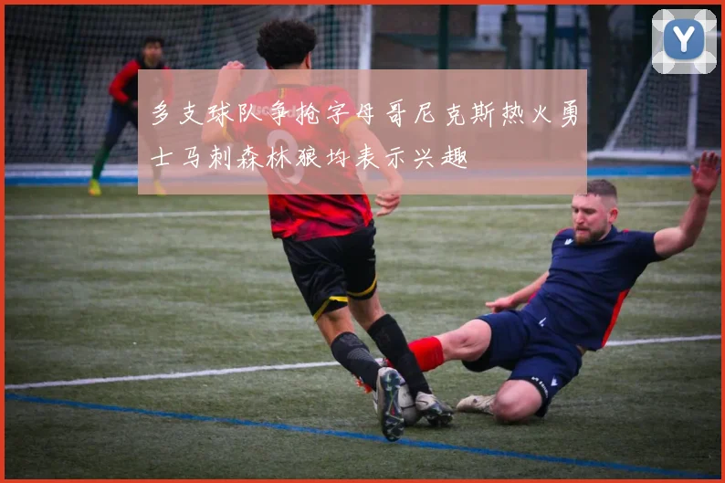 多支球队争抢字母哥尼克斯热火勇士马刺森林狼均表示兴趣