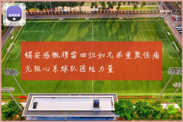 锡安感慨穆雷回归如兄弟重聚伤痛无阻心系球队团结力量