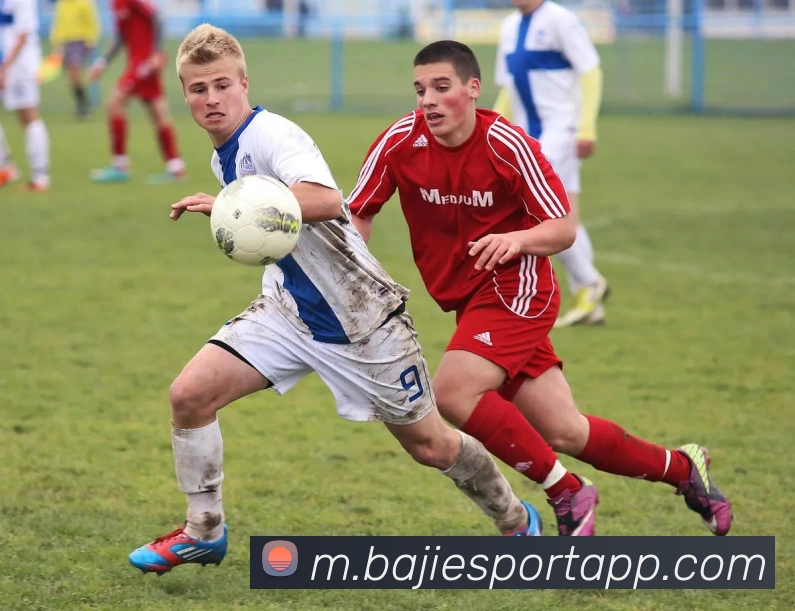 八戒体育全站App